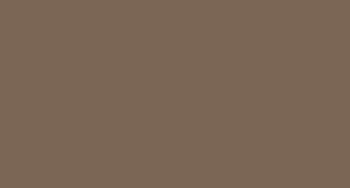 1417 Earth Brown